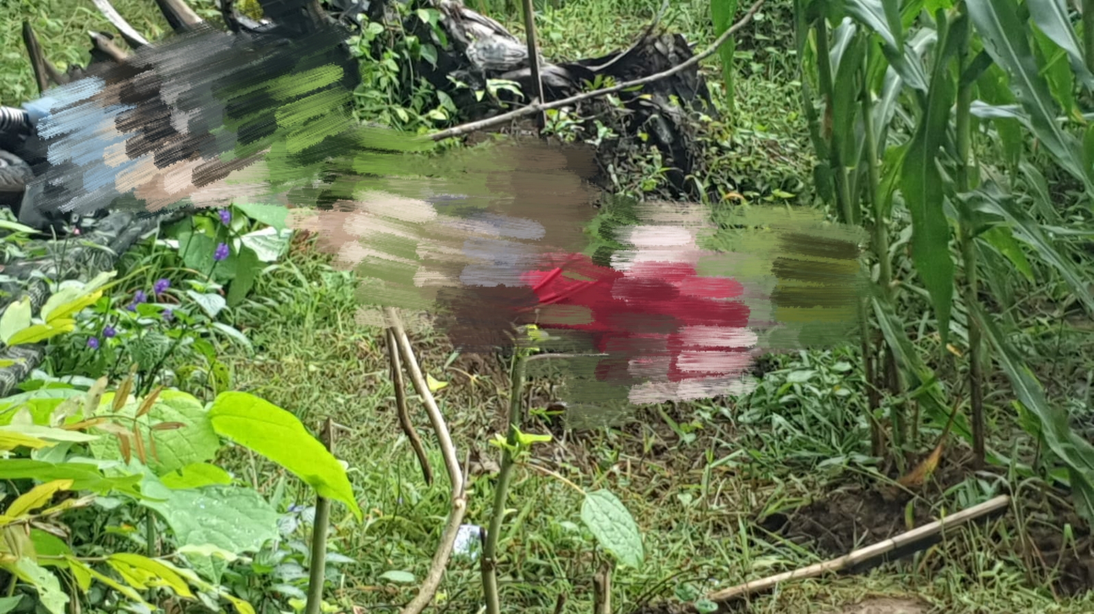 Foto Pemuda Lasiai ditemukan dalam kondisi meninggal dunia.